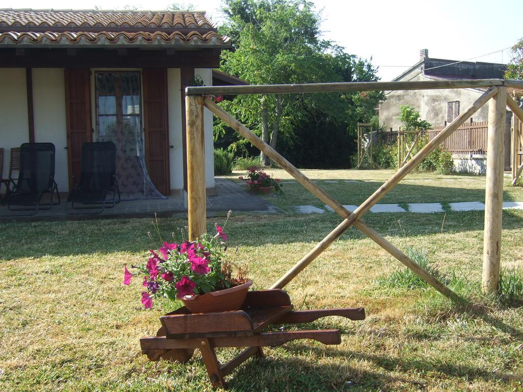 Agriturismo La Casa Della Lavanda - Il Rustico マリーナ・ディ・モンテマルチアーノ エクステリア 写真